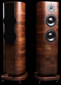 Acoustic Preference Cracioso 2